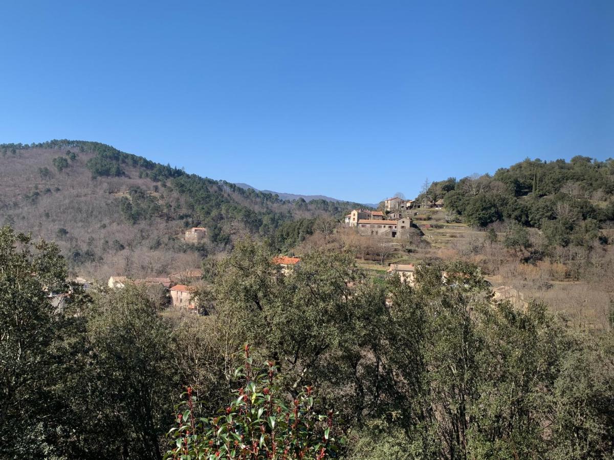 Villa Des Taillades Le Collet-de-Dèze Екстериор снимка