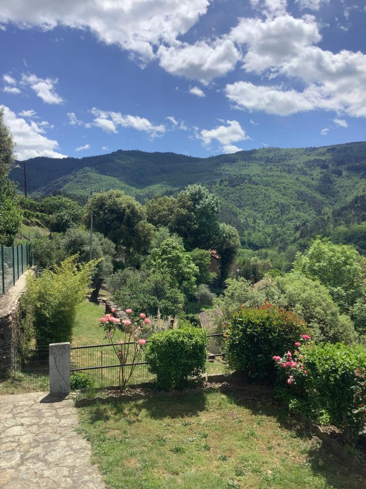Villa Des Taillades Le Collet-de-Dèze Екстериор снимка
